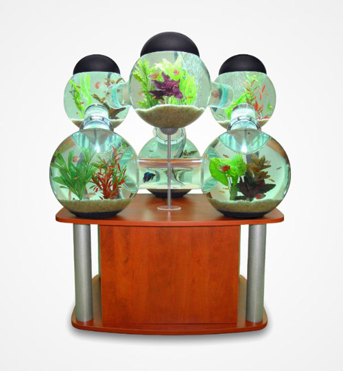 Дизайнерские аквариумы. Креативные дома для рыбок